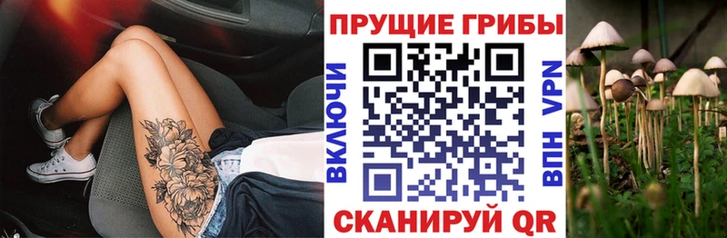 Псилоцибиновые грибы Psilocybe купить закладку Ульяновск