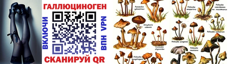 Псилоцибиновые грибы Magic Shrooms Ульяновск